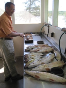 Fish Cleaning Stations
