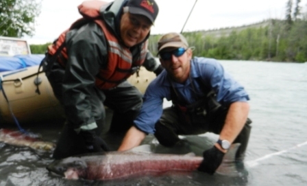 Alaskan Salmon Runs