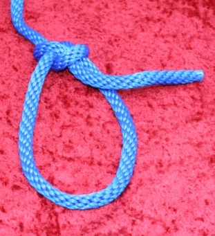 Bowline Knot 