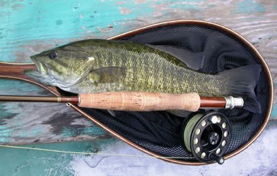 Fly Fishing Small Mouth Bass
